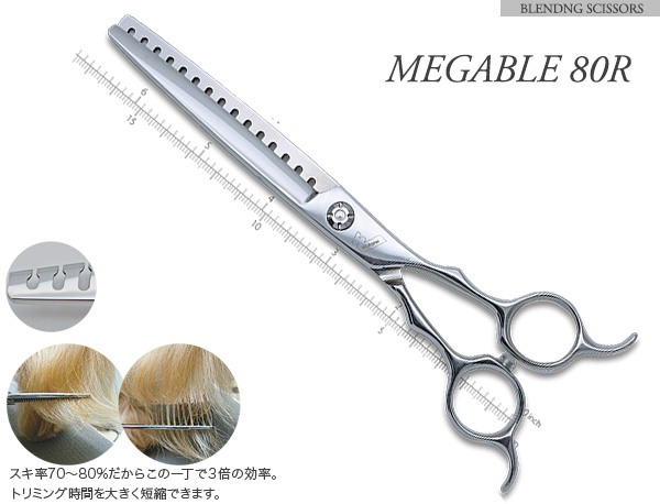 メガブレ 80R