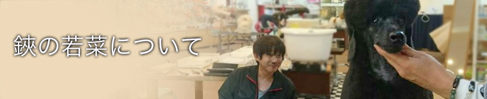 鋏の若菜について